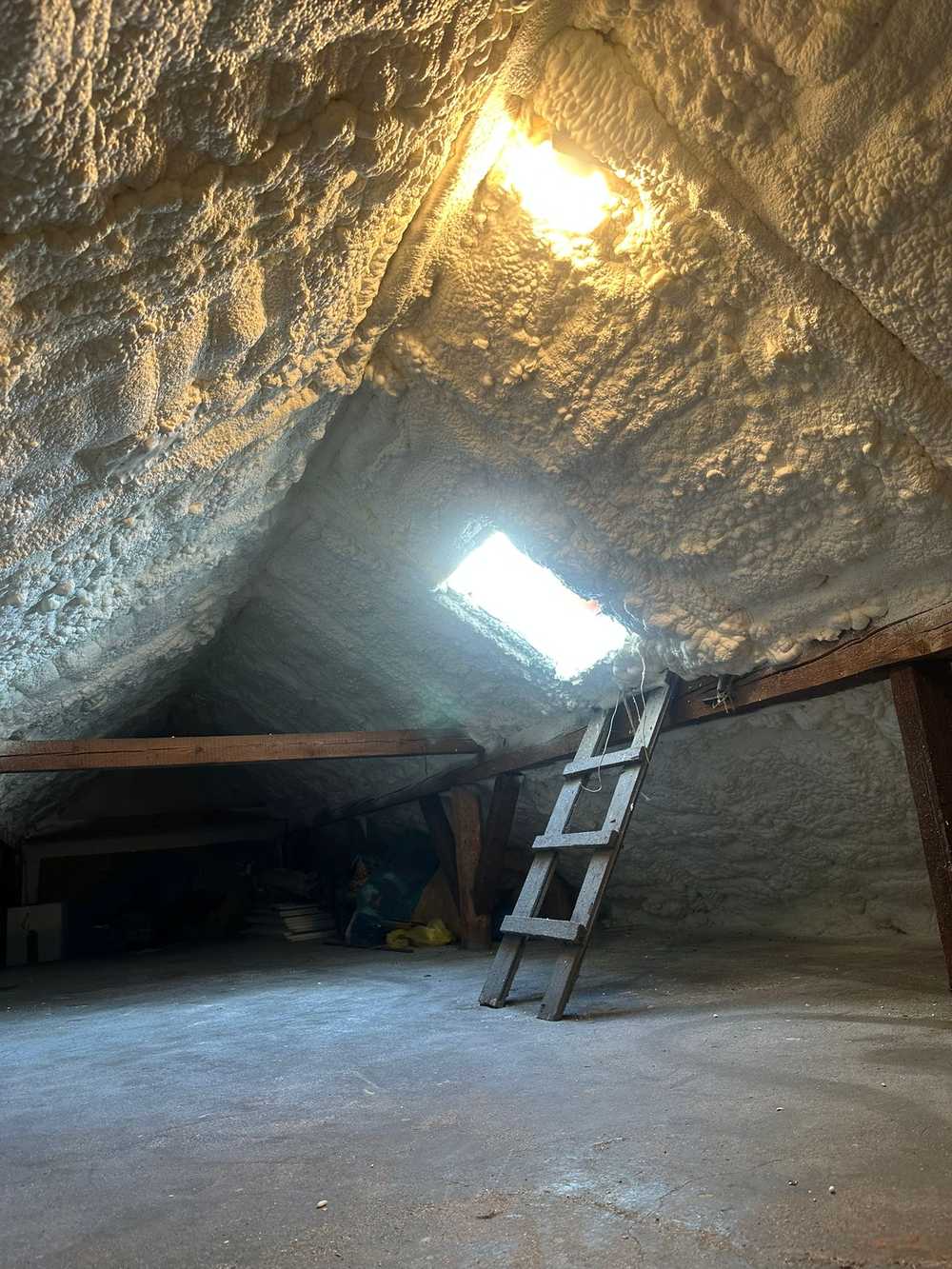 e3c25d12 c28a 4c8c bc5e 43f49174121d