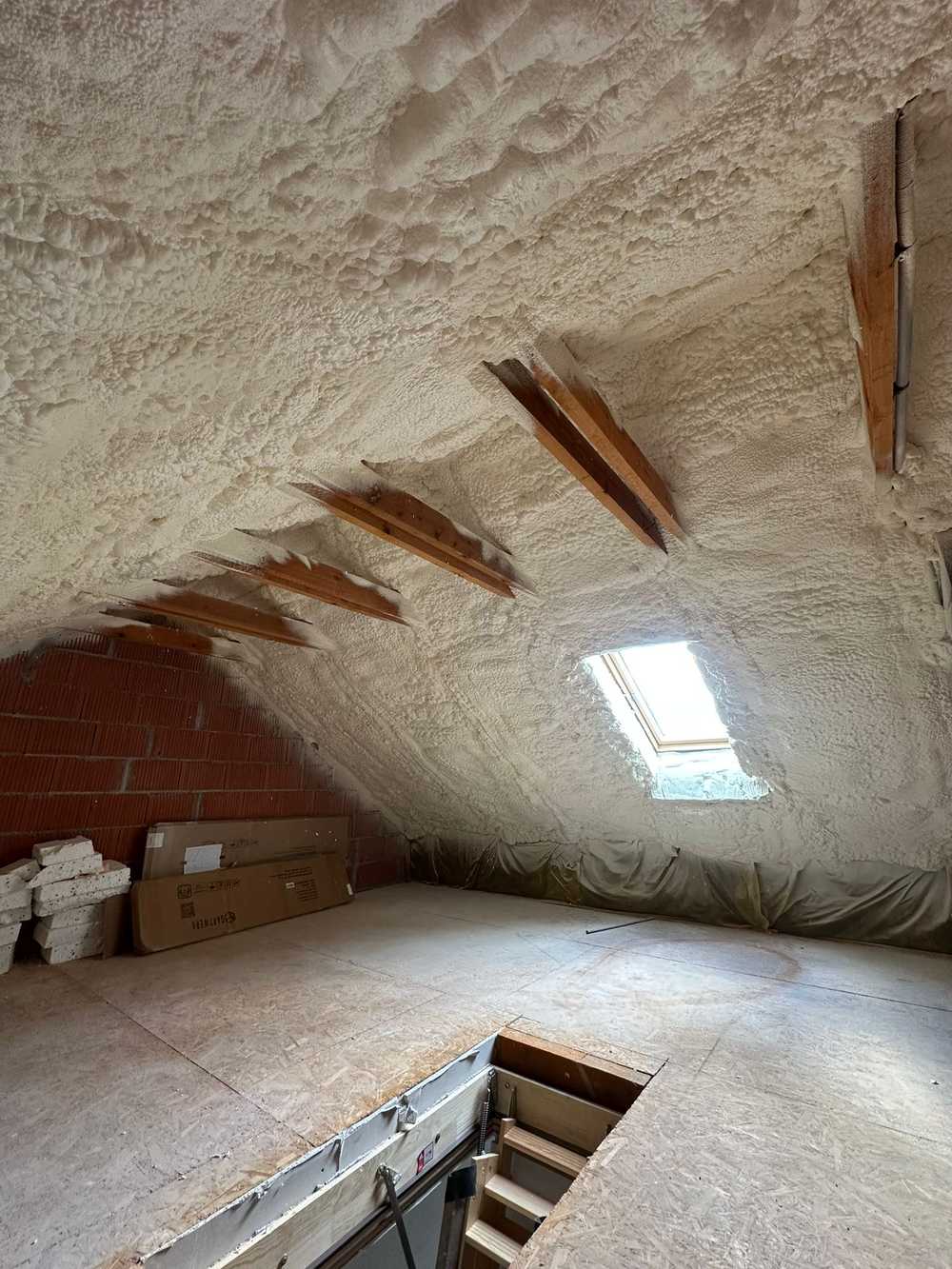 337c20bb 0d23 4de8 a1fa 359238b87b8f