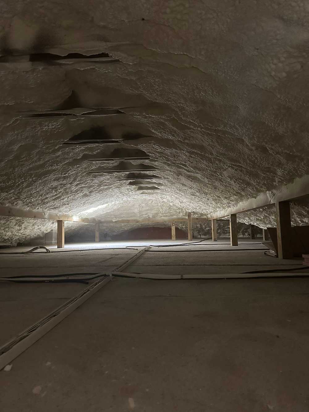 07ea6771 3dd4 4db8 b86c 75fccb92cd63